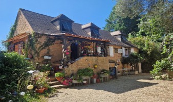 SAINT-CYPRIEN - Charming stone house with swimming pool, outbuilding and garden