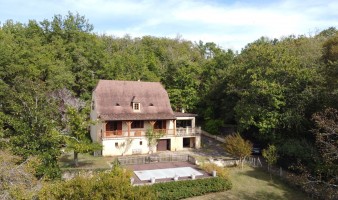 LES EYZIES - 3-bedroom Périgourdine house for sale in the middle of a clearing with no nuisance.