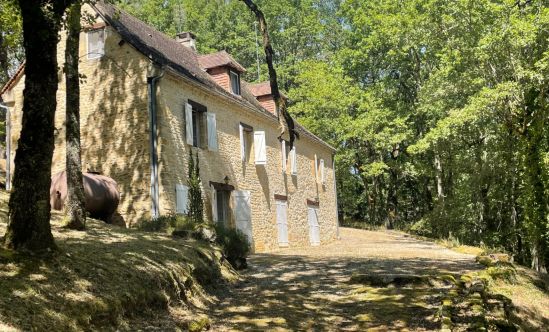 En Périgord Noir, sur les hauteurs à 10 mn de Montignac, maison en pierre sur 4 hectares dans un environnement boisé, calme et sans voisin proche.