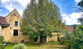 Secteur Cénac - maison en pierre a vendre avec dépendance et jardin